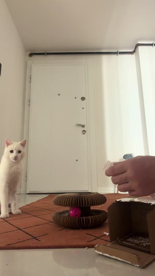 TikTok video thumbnail by my_cagla