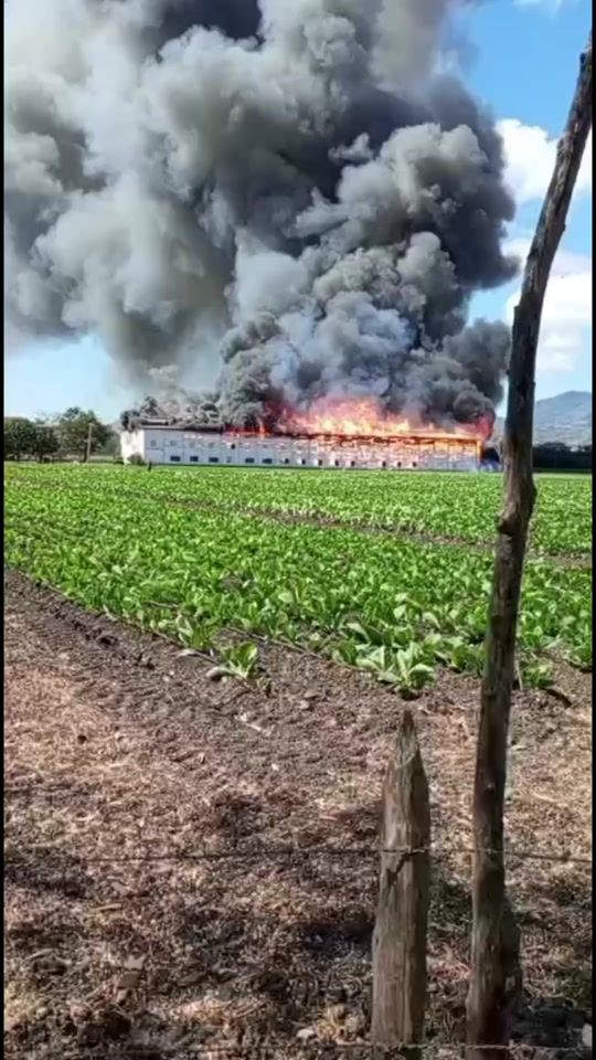 TikTok video thumbnail by chimito69