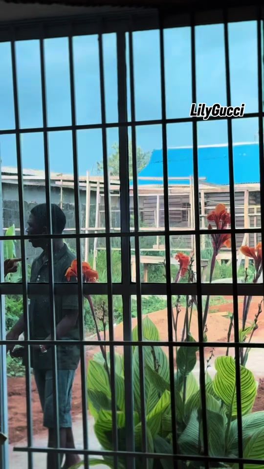 TikTok video thumbnail by lilygucci09