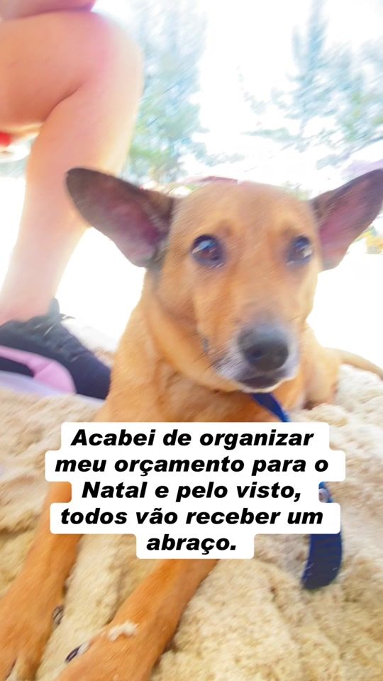 TikTok video thumbnail by picheste.vieira
