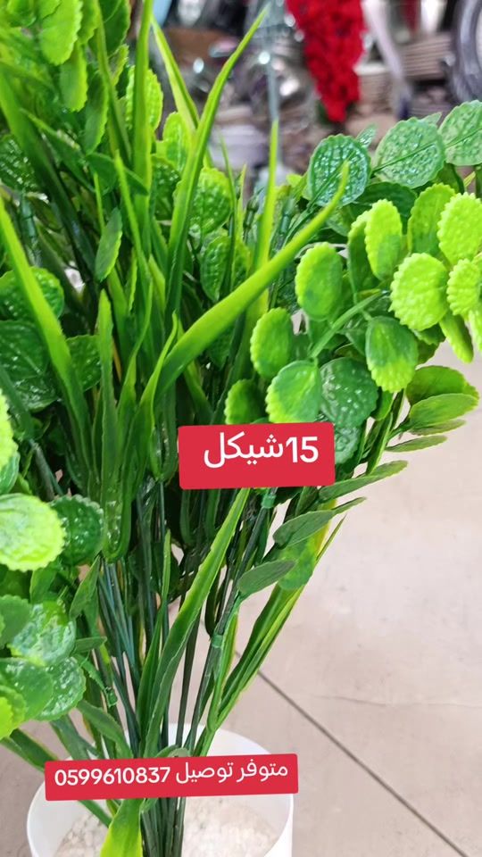 TikTok video thumbnail by fatafeat34