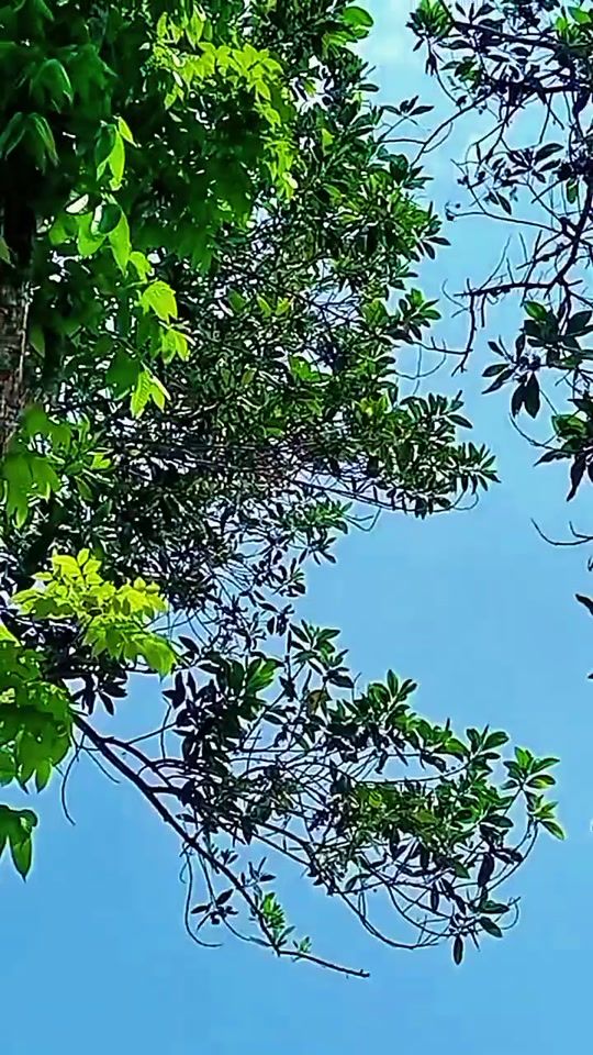 TikTok video thumbnail by ramdan5tp1