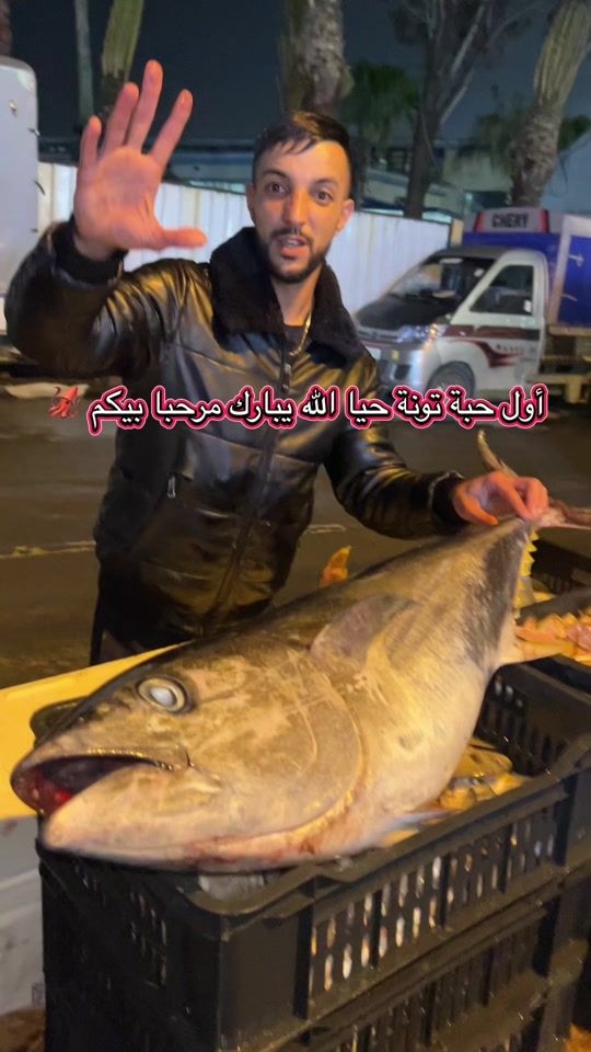 TikTok video thumbnail by king_.poisson