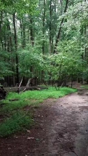 TikTok video thumbnail by 8a18e