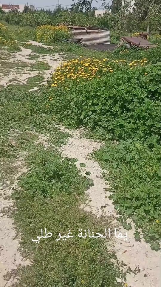 TikTok video thumbnail by fethi.ftouh1