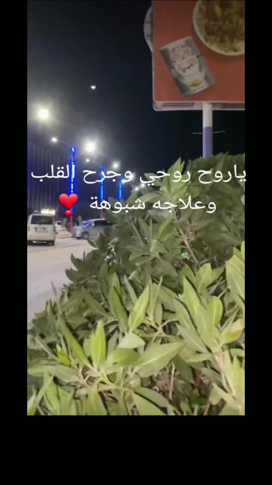TikTok video thumbnail by syssu01