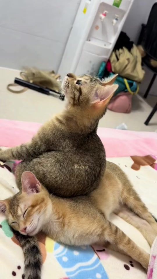 TikTok video thumbnail by fagirllala