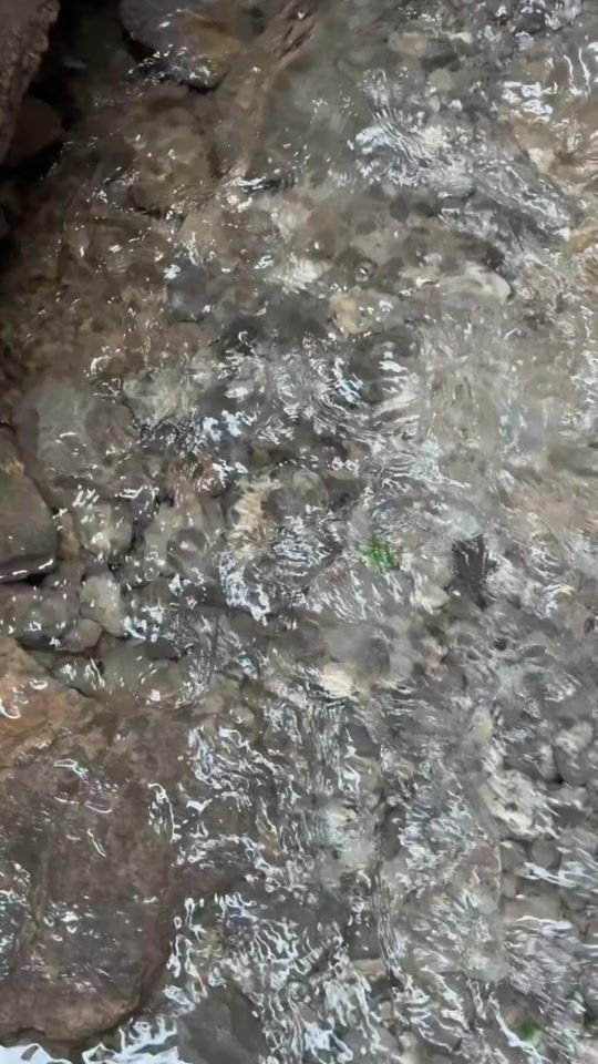 TikTok video thumbnail by ylhamv777