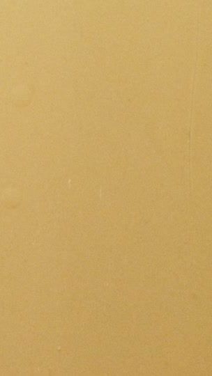 TikTok video thumbnail by wildroadwanderers