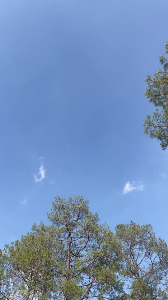 TikTok video thumbnail by mr_thakuri09