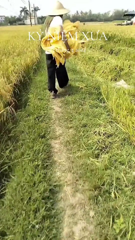TikTok video thumbnail by hoang19710