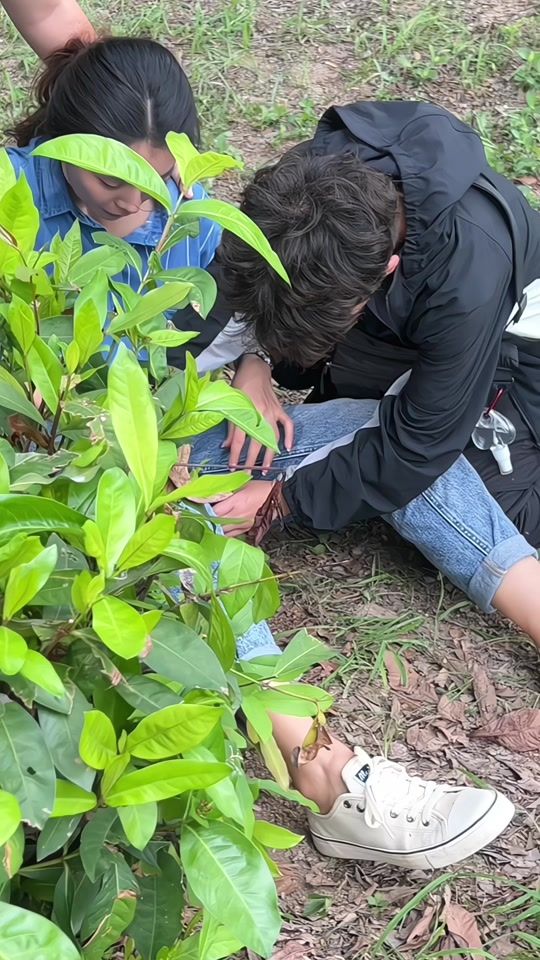 TikTok video thumbnail by chompu_pinkiiz