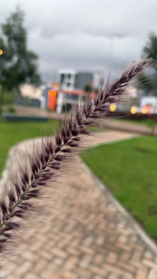 TikTok video thumbnail by johnson_valentis