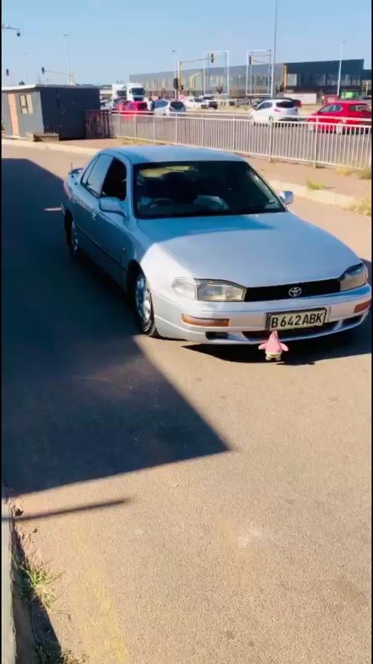 TikTok video thumbnail by zipo_rj86