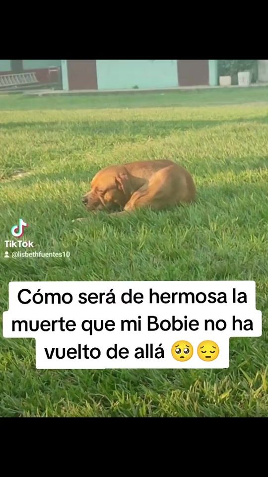 TikTok video thumbnail by lisbethfuentes10