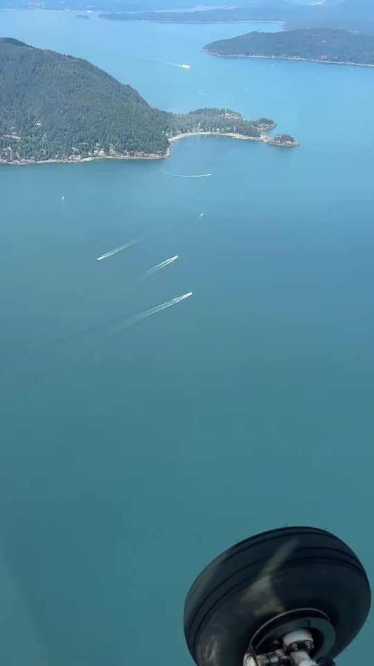 TikTok video thumbnail by teichan31
