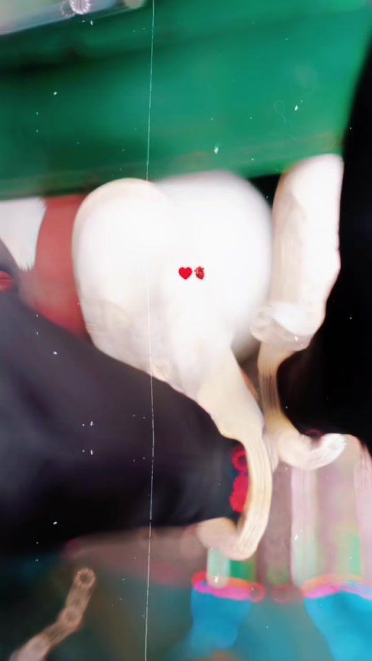 TikTok video thumbnail by mxmonironfire1