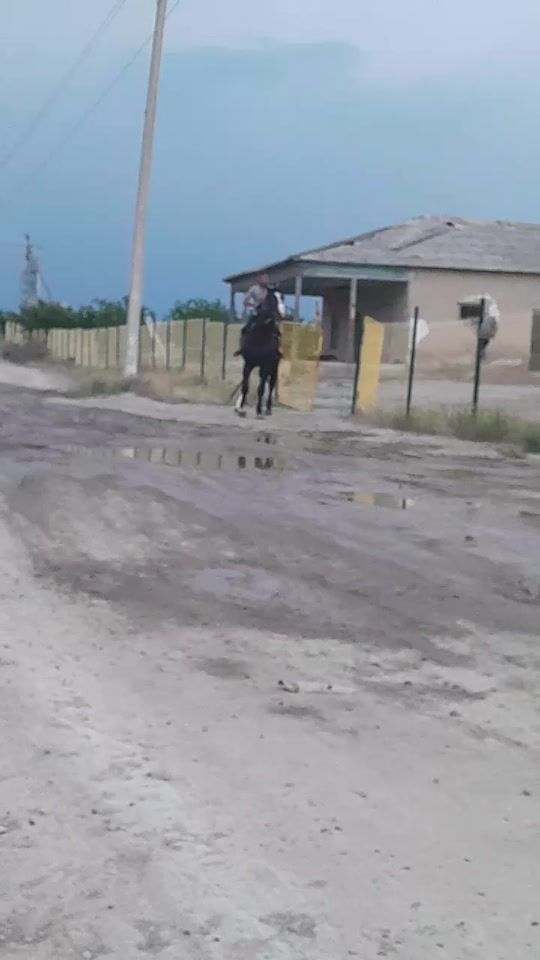 TikTok video thumbnail by user454490145525