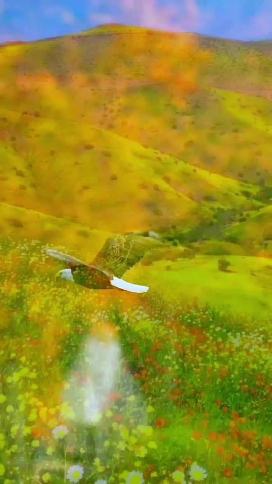 TikTok video thumbnail by 3abdo889laayoun