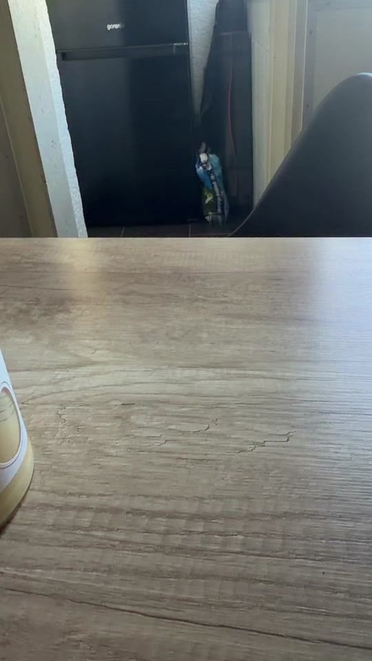 TikTok video thumbnail by veseli_plamicak