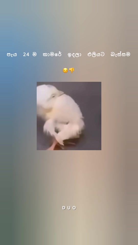TikTok video thumbnail by ruuby_9