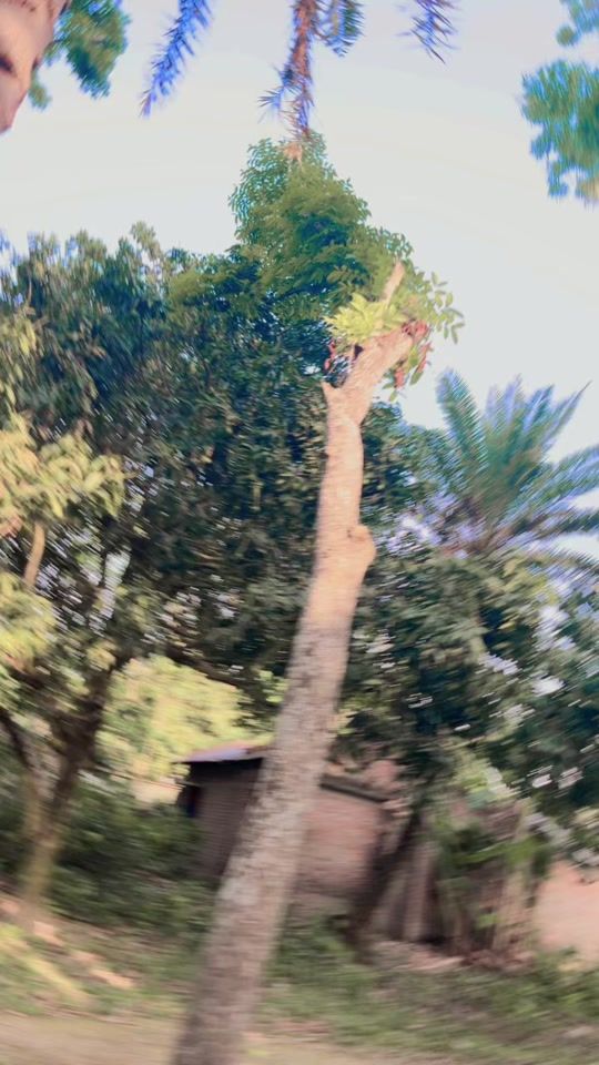 TikTok video thumbnail by mstshanta355