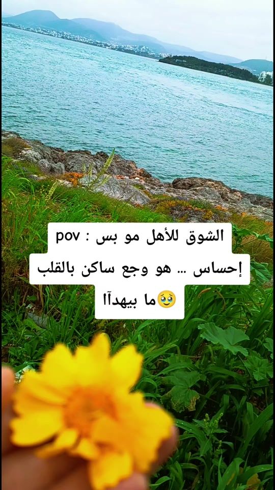 TikTok video thumbnail by doaaturk752