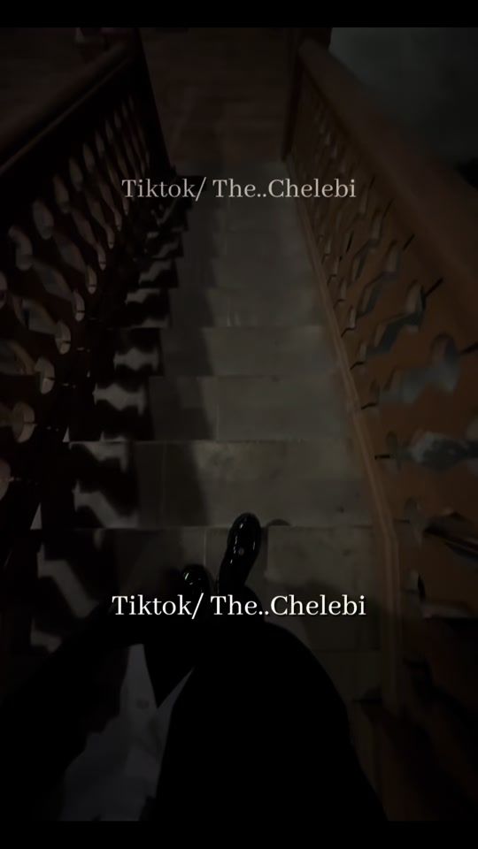 TikTok video thumbnail by the..chelebi