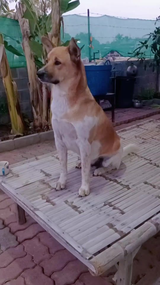 TikTok video thumbnail by i_am.j_sup