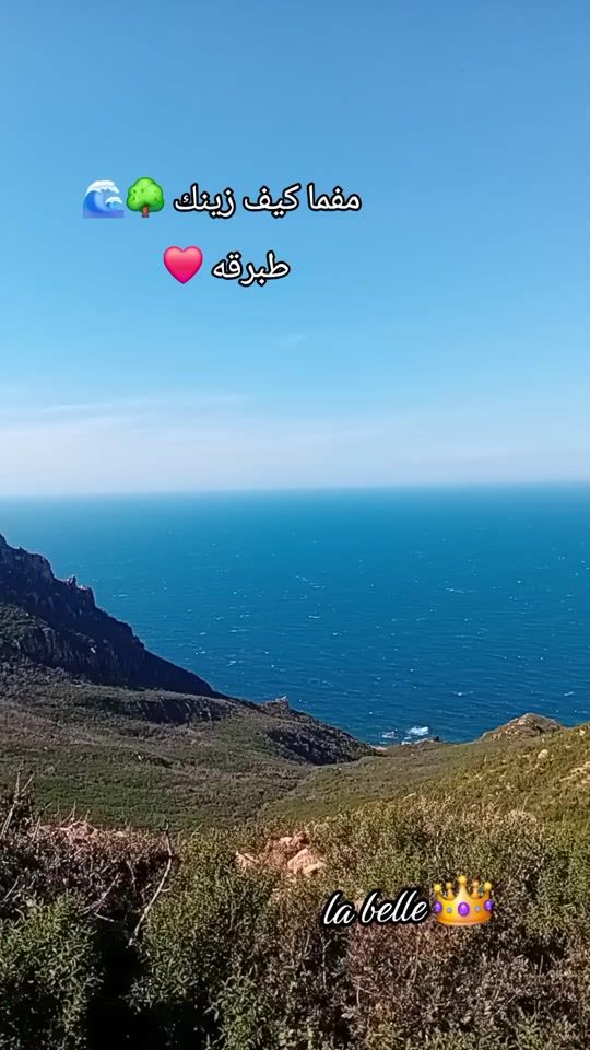 TikTok video thumbnail by llabelle13