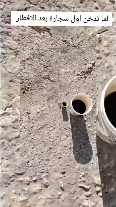 TikTok video thumbnail by m7md_2l