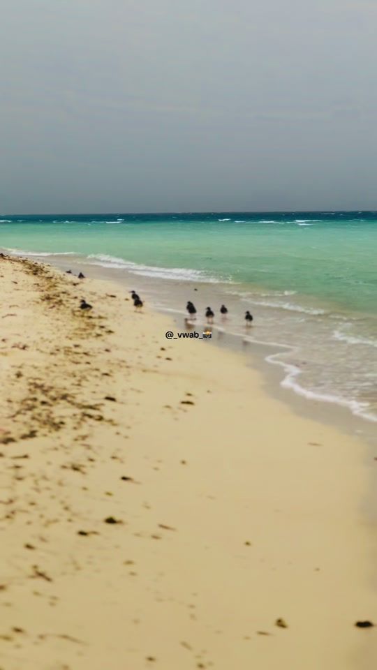 TikTok video thumbnail by vwab11