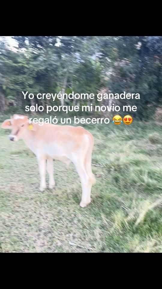 TikTok video thumbnail by yuli__g24