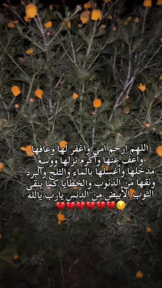 TikTok video thumbnail by quran_karem.cv2