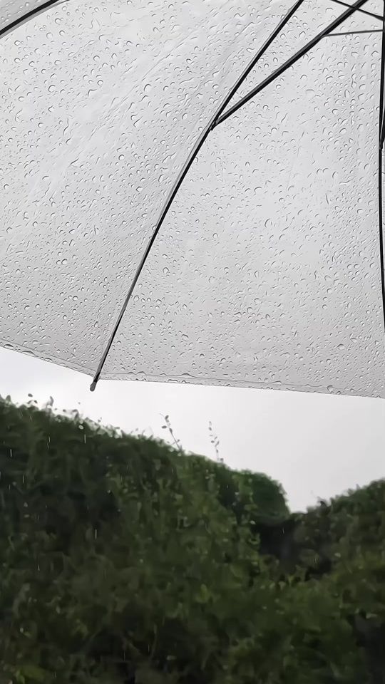TikTok video thumbnail by zhoor374
