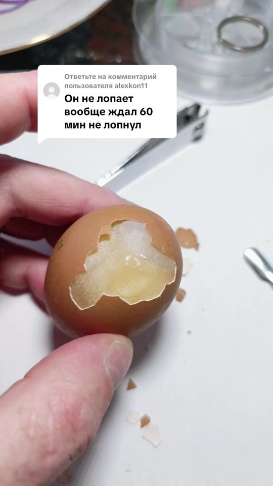 TikTok video thumbnail by ostrik.2