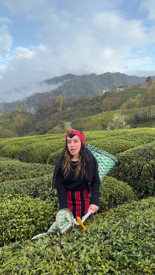 TikTok video thumbnail by zerbuss