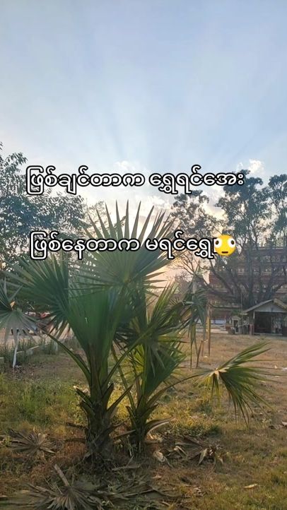 TikTok video thumbnail by zarchi.....2001
