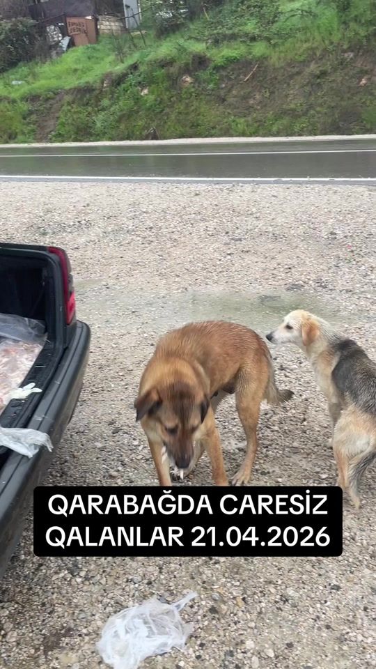 TikTok video thumbnail by cesur1979
