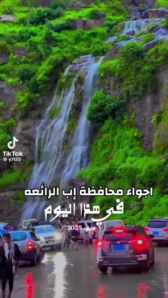 TikTok video thumbnail by headofthepalace
