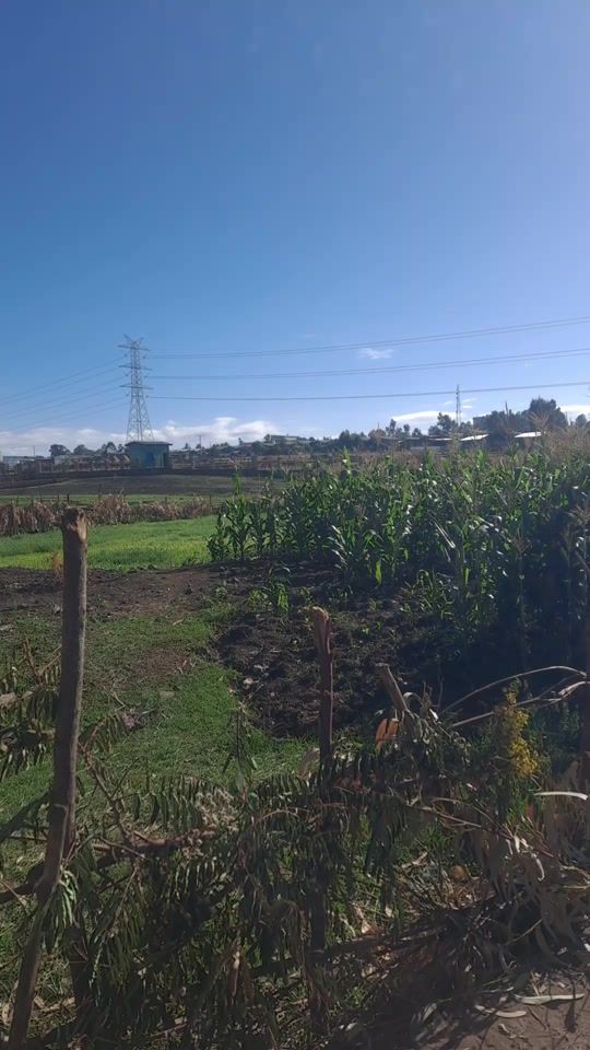 TikTok video thumbnail by damotew58