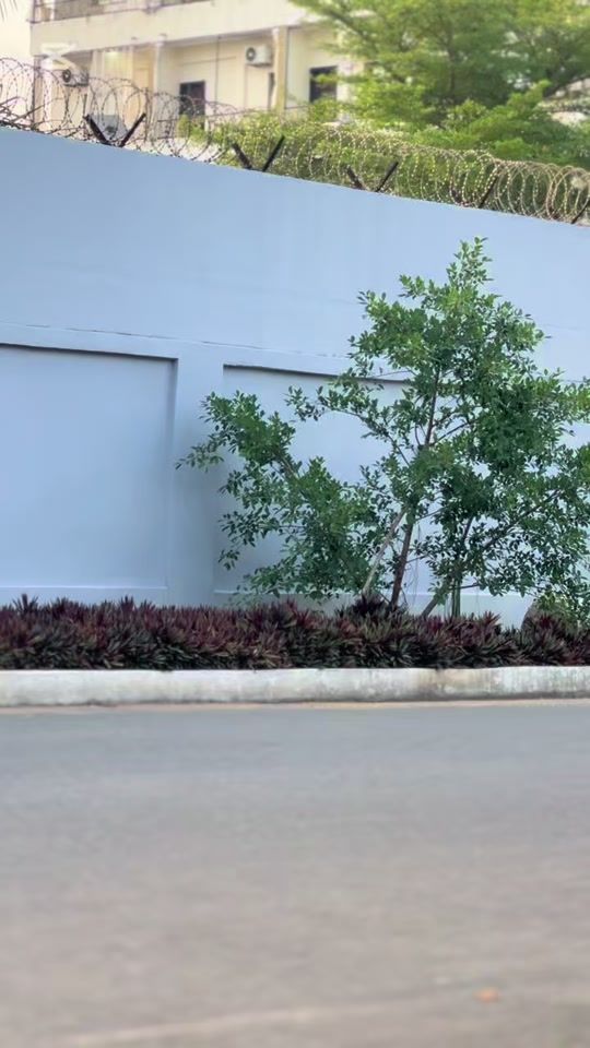 TikTok video thumbnail by championkeddy