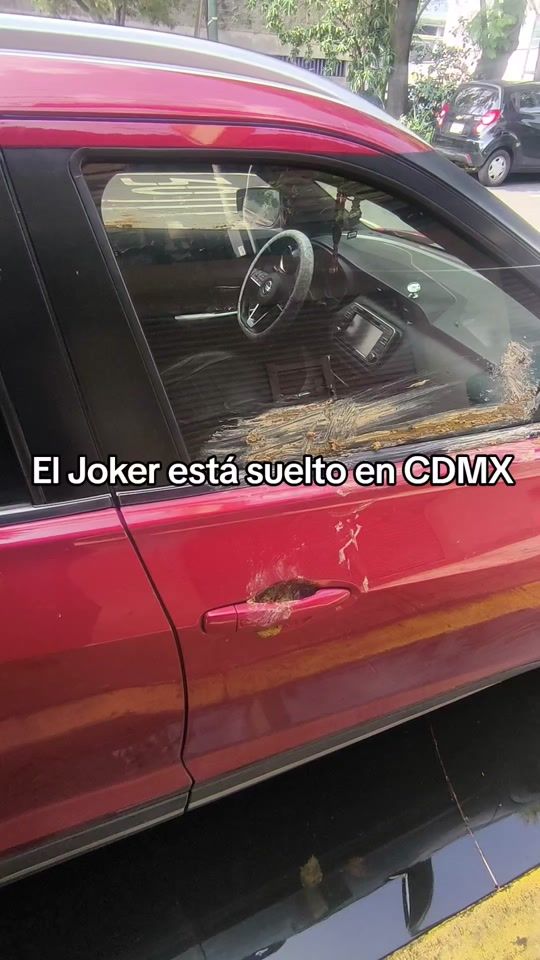 TikTok video thumbnail by vivanco_elunderdog