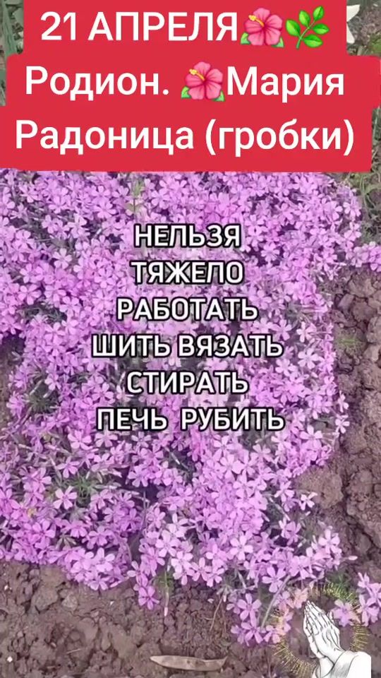 TikTok video thumbnail by zanneta48