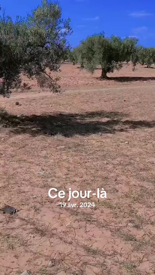 TikTok video thumbnail by commissaire435