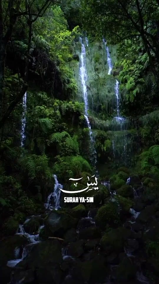 TikTok video thumbnail by rubazamoot3