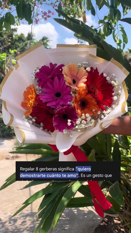 TikTok video thumbnail by alemar_29