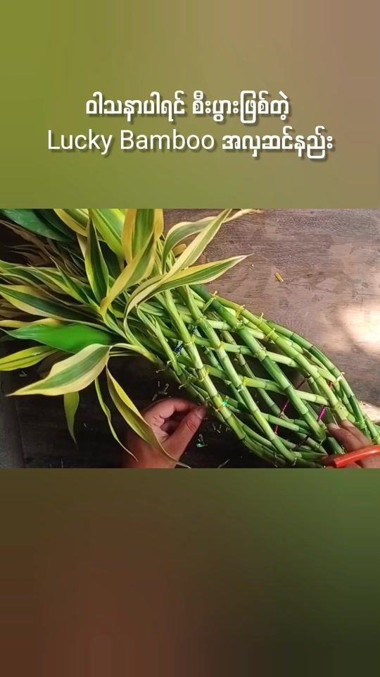 TikTok video thumbnail by phoephoelayvilla444