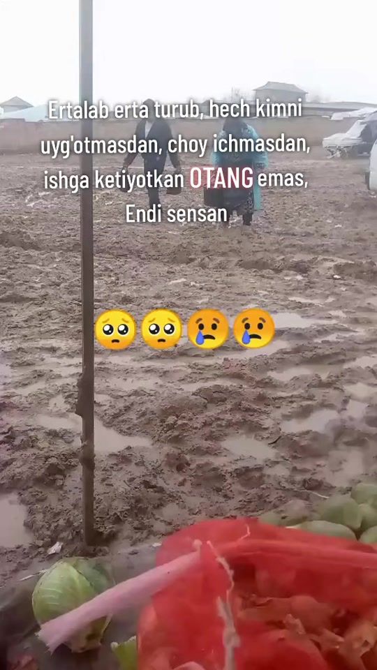 TikTok video thumbnail by obidjon_2000
