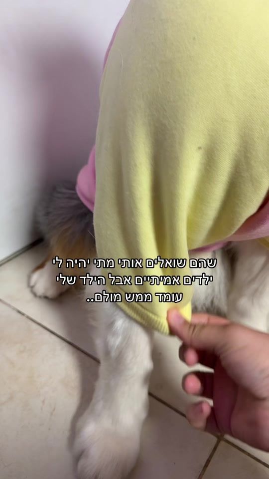 TikTok video thumbnail by ray_sun.the_aussie